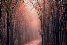 解放者杯深圳燕子山竞技乐团夺冠