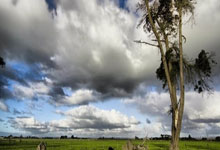 解放者杯深圳燕子山竞技乐团夺冠